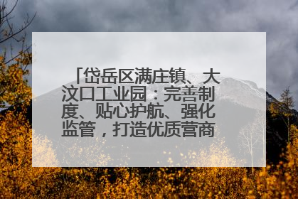 岱岳区满庄镇、大汶口工业园：完善制度、贴心护航、强化监管，打造优质营商“强磁场”