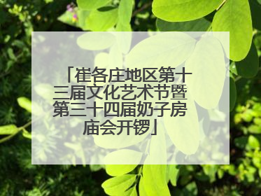 崔各庄地区第十三届文化艺术节暨第三十四届奶子房庙会开锣