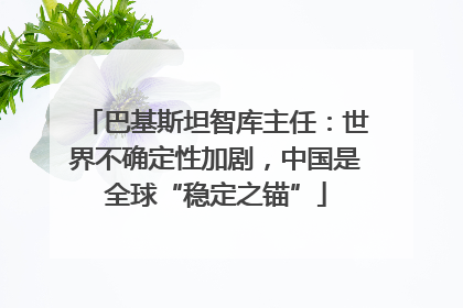 巴基斯坦智库主任：世界不确定性加剧，中国是全球“稳定之锚”