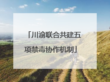 川渝联合共建五项禁毒协作机制