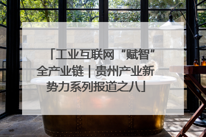 工业互联网“赋智”全产业链｜贵州产业新势力系列报道之八