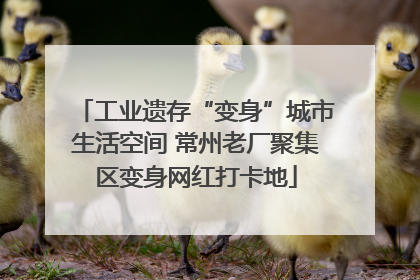 工业遗存“变身”城市生活空间 常州老厂聚集区变身网红打卡地