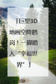 巨型3D地画空降鹤岗！一脚踏入“幸福世界”