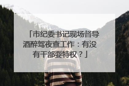 市纪委书记现场督导酒醉驾夜查工作：有没有干部耍特权？