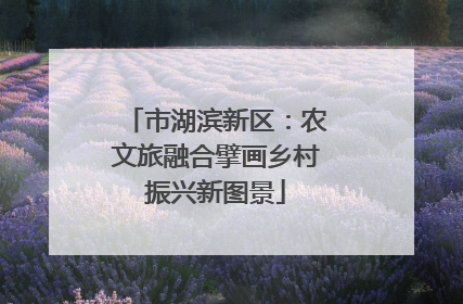 市湖滨新区：农文旅融合擘画乡村振兴新图景
