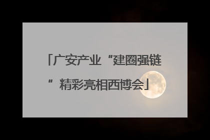 广安产业“建圈强链”精彩亮相西博会