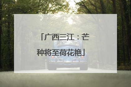 广西三江：芒种将至荷花艳