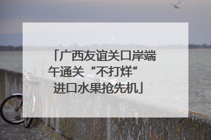 广西友谊关口岸端午通关“不打烊” 进口水果抢先机