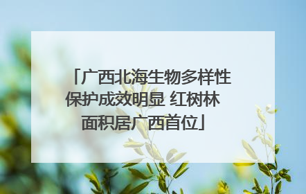 广西北海生物多样性保护成效明显 红树林面积居广西首位
