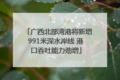 广西北部湾港将新增991米深水岸线 港口吞吐能力劲增