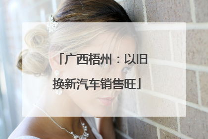 广西梧州：以旧换新汽车销售旺