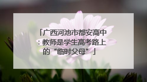 广西河池市都安高中：教师是学生高考路上的“临时父母”