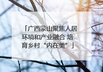 广西蒙山聚焦人居环境和产业融合 培育乡村“内在美”