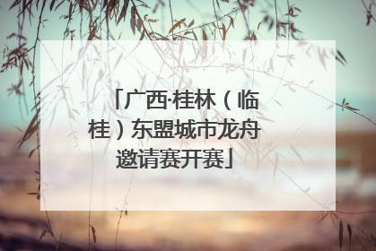 广西·桂林（临桂）东盟城市龙舟邀请赛开赛