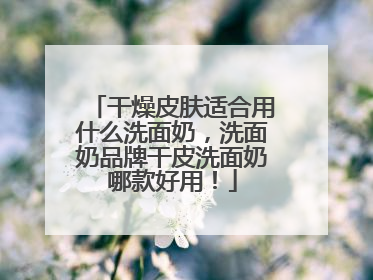 干燥皮肤适合用什么洗面奶，洗面奶品牌干皮洗面奶哪款好用！