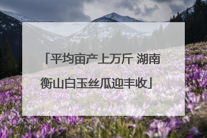 平均亩产上万斤 湖南衡山白玉丝瓜迎丰收