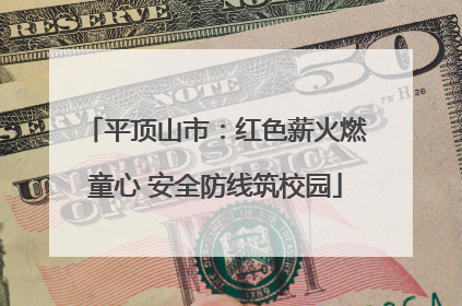 平顶山市：红色薪火燃童心 安全防线筑校园