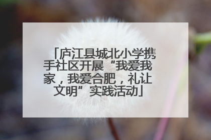 庐江县城北小学携手社区开展“我爱我家，我爱合肥，礼让文明”实践活动