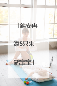 延安再添5只朱鹮宝宝