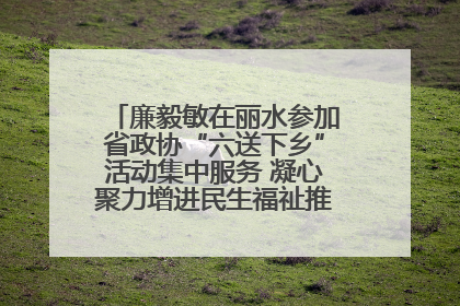 廉毅敏在丽水参加省政协“六送下乡”活动集中服务 凝心聚力增进民生福祉推进共同富裕