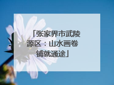 张家界市武陵源区：山水画卷铺就通途