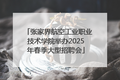 张家界航空工业职业技术学院举办2025年春季大型招聘会