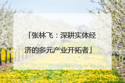 张林飞：深耕实体经济的多元产业开拓者