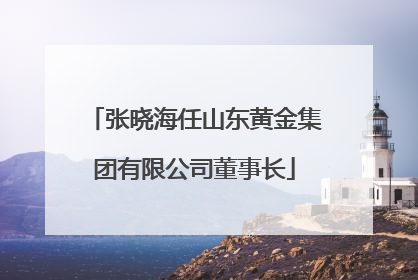 张晓海任山东黄金集团有限公司董事长