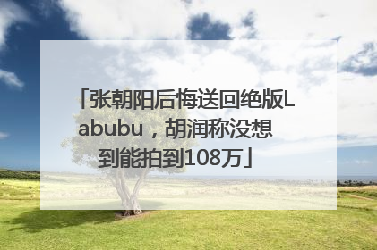 张朝阳后悔送回绝版Labubu，胡润称没想到能拍到108万