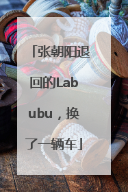 张朝阳退回的Labubu，换了一辆车
