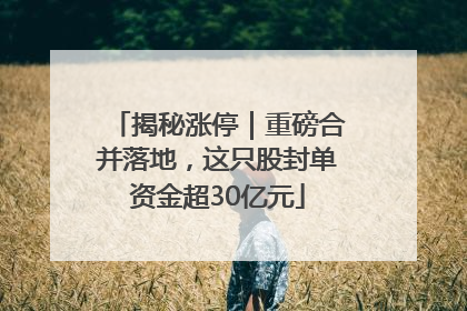 揭秘涨停｜重磅合并落地，这只股封单资金超30亿元
