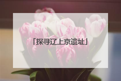 探寻辽上京遗址