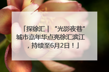 探徐汇｜“光影夜巷”城市嘉年华点亮徐汇滨江，持续至6月2日！