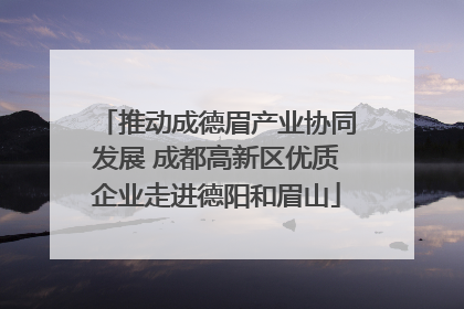 推动成德眉产业协同发展 成都高新区优质企业走进德阳和眉山