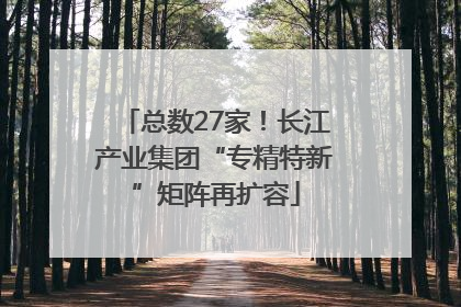 总数27家！长江产业集团“专精特新”矩阵再扩容