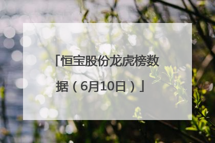 恒宝股份龙虎榜数据（6月10日）