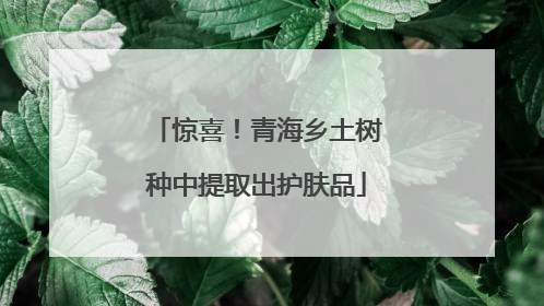 惊喜！青海乡土树种中提取出护肤品