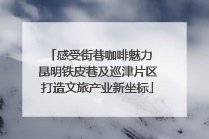 感受街巷咖啡魅力 昆明铁皮巷及巡津片区打造文旅产业新坐标