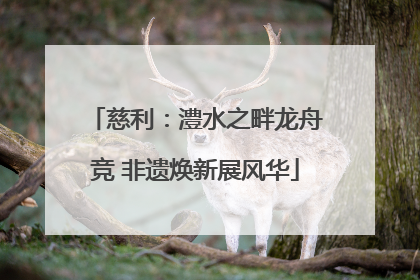慈利：澧水之畔龙舟竞 非遗焕新展风华