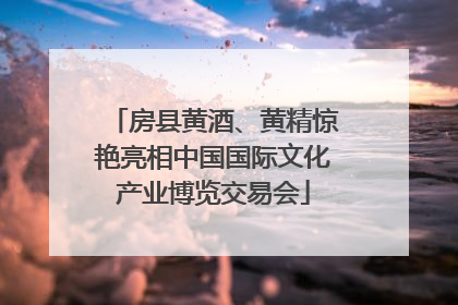 房县黄酒、黄精惊艳亮相中国国际文化产业博览交易会