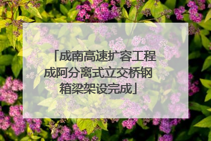 成南高速扩容工程成阿分离式立交桥钢箱梁架设完成