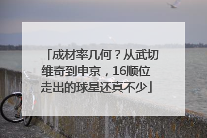成材率几何？从武切维奇到申京，16顺位走出的球星还真不少