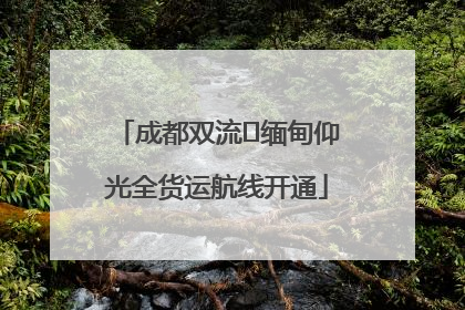 成都双流⇌缅甸仰光全货运航线开通