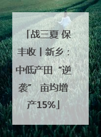 战三夏 保丰收丨新乡：中低产田“逆袭” 亩均增产15%