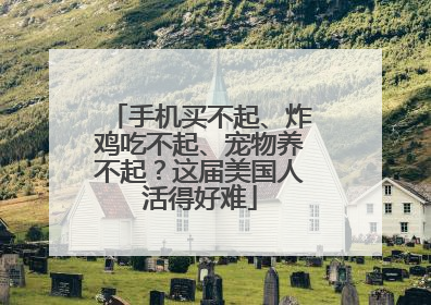 手机买不起、炸鸡吃不起、宠物养不起？这届美国人活得好难