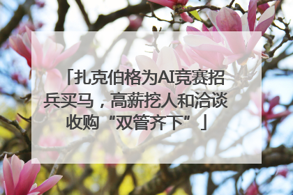 扎克伯格为AI竞赛招兵买马，高薪挖人和洽谈收购“双管齐下”