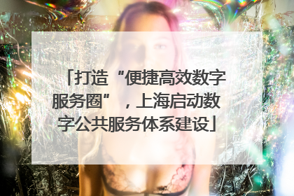 打造“便捷高效数字服务圈”，上海启动数字公共服务体系建设