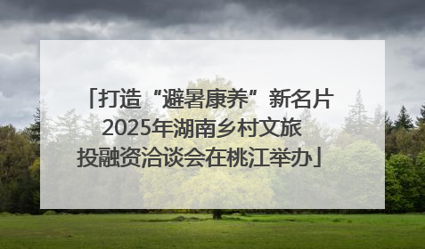 打造“避暑康养”新名片 2025年湖南乡村文旅投融资洽谈会在桃江举办