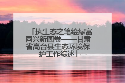 执生态之笔绘绿富同兴新画卷——甘肃省高台县生态环境保护工作综述