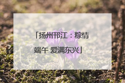 扬州邗江：粽情端午 爱满东兴